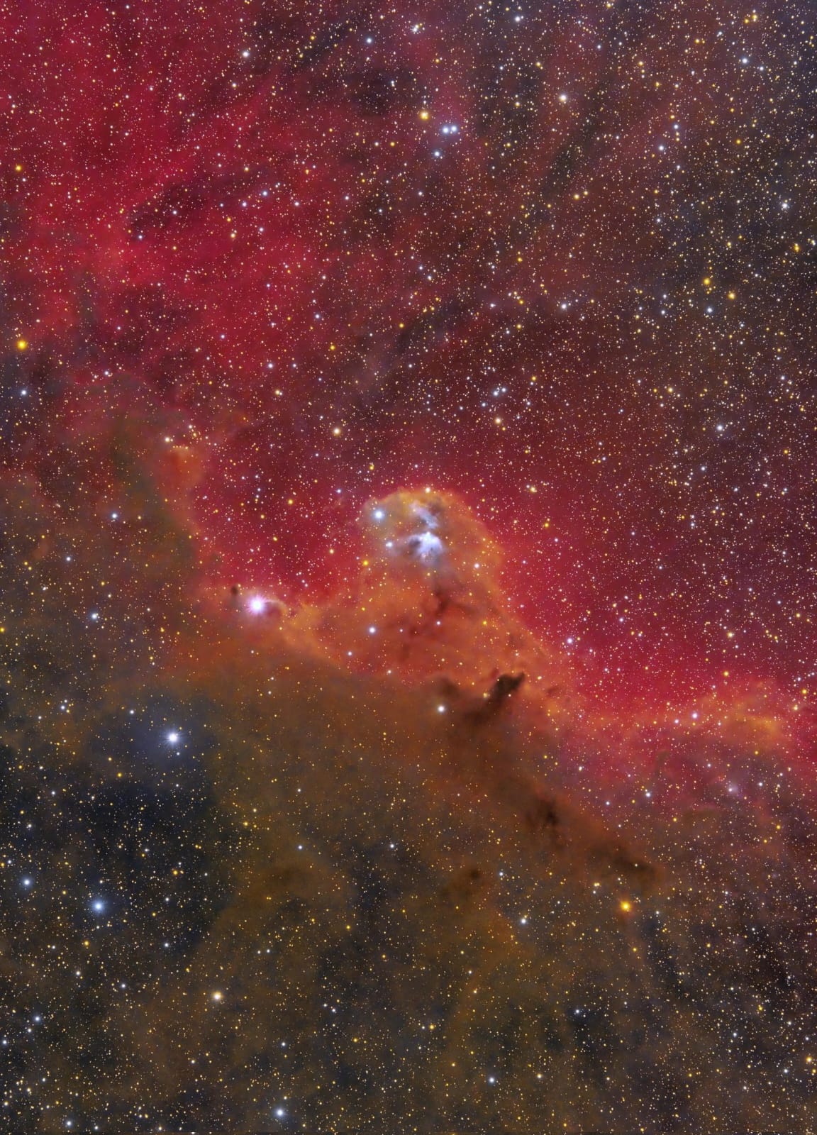 Valentines By The River